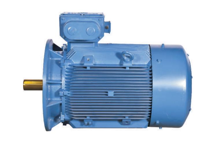 Bharat Bijlee 2H063213AT000 2700 rpm Three Phase 0.25 hp Double Pole Foot Mounted AC Motors