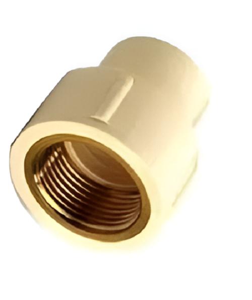 17347-3969_image_0.jpg CPVC Reducer FTAs 25 mm