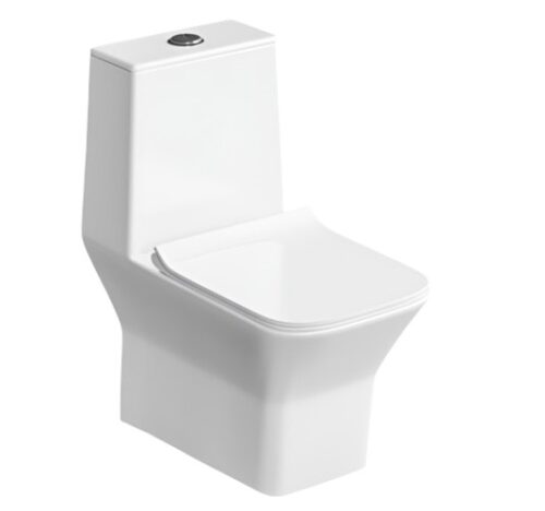17359-471_image_0.jpg Bathero EWC with Seat Cover and Flush Aqua One PC 21020 - 225 mm Floor Mounted